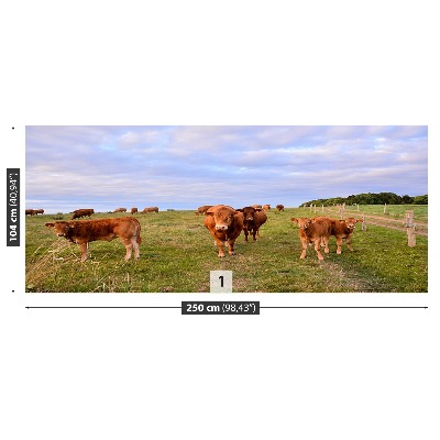 Fotomural Vacas