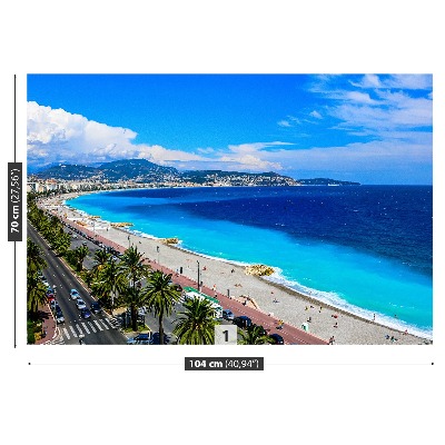 Fotomural Playa niza francia