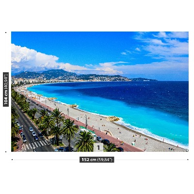 Fotomural Playa niza francia