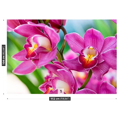 Fotomural Orquídeas rosa