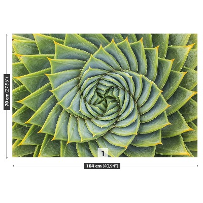 Fotomural Aloe simetría