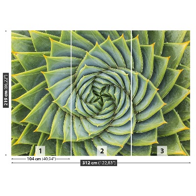 Fotomural Aloe simetría