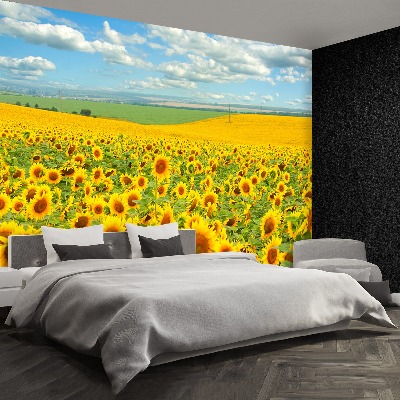 Fotomural Campo de girasoles