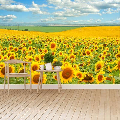 Fotomural Campo de girasoles