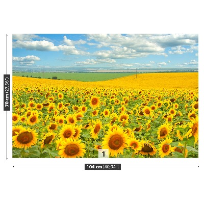 Fotomural Campo de girasoles