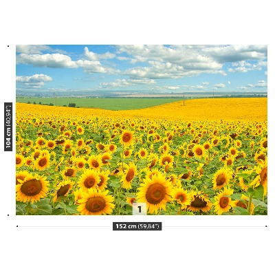 Fotomural Campo de girasoles