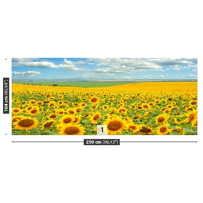 Fotomural Campo de girasoles