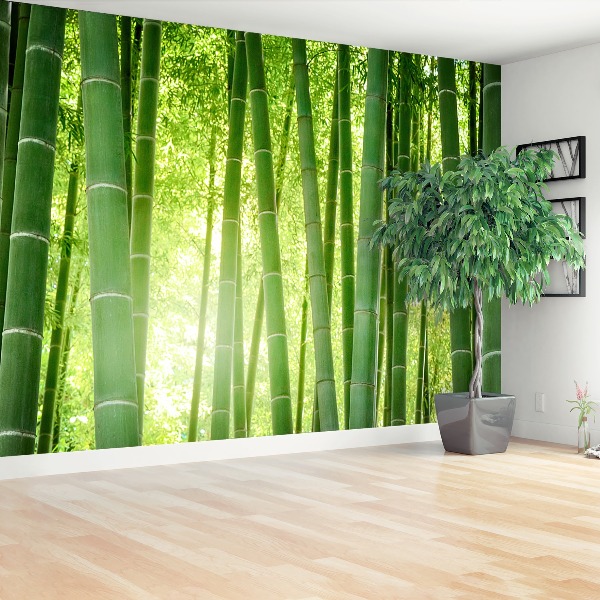 Fotomural Bosque de bambú