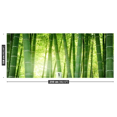 Fotomural Bosque de bambú