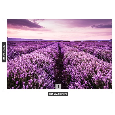 Fotomural Lavanda en flor