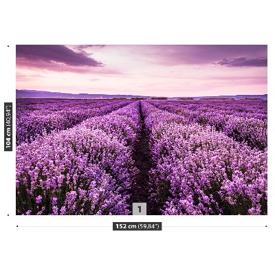 Fotomural Lavanda en flor