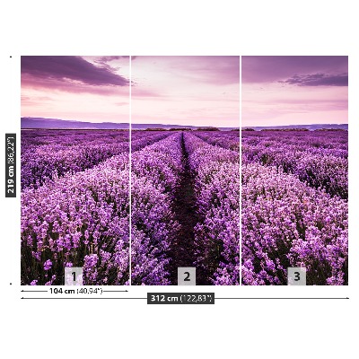 Fotomural Lavanda en flor