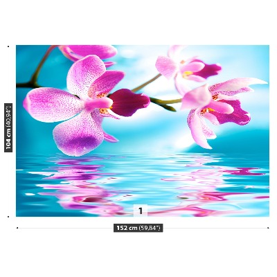 Fotomural Orquídea agua