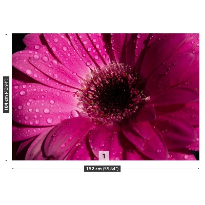 Fotomural Gerbera morada