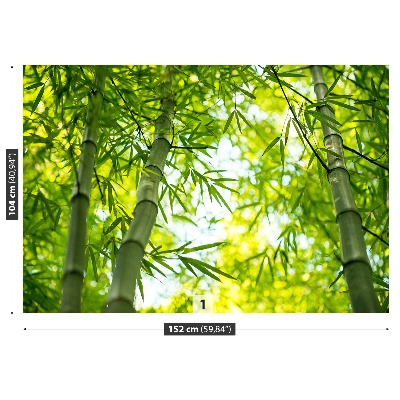 Fotomural Rama bambú