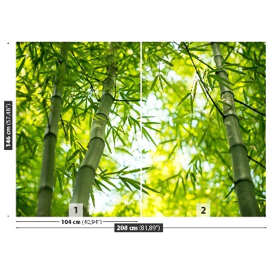Fotomural Rama bambú