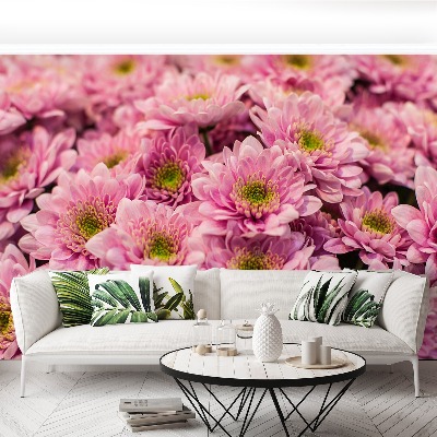 Fotomural Crisantemo rosa