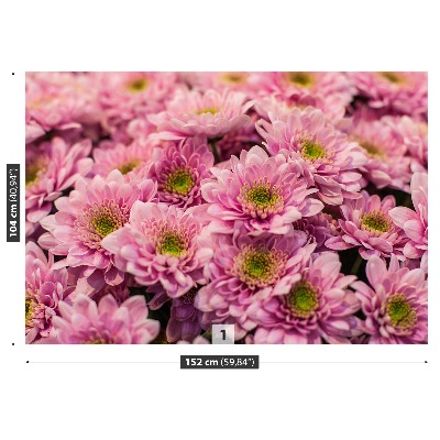 Fotomural Crisantemo rosa