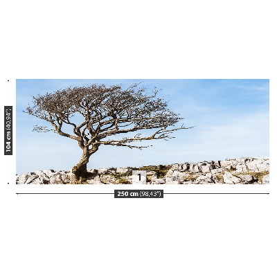 Fotomural Árbol