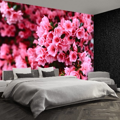 Fotomural Rododendro rosa