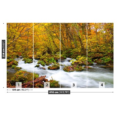 Fotomural Río en japón