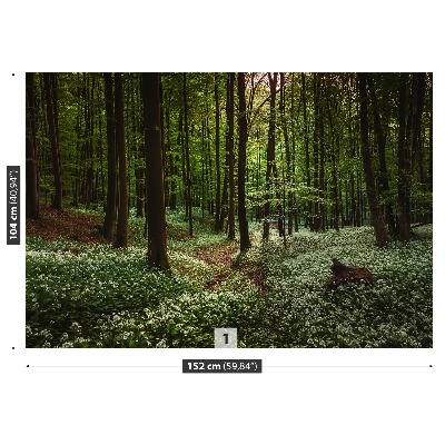 Fotomural Primavera bosque