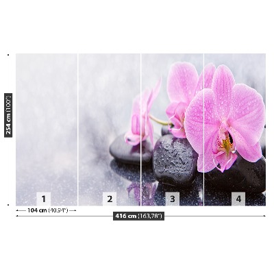 Fotomural Orquídea piedras