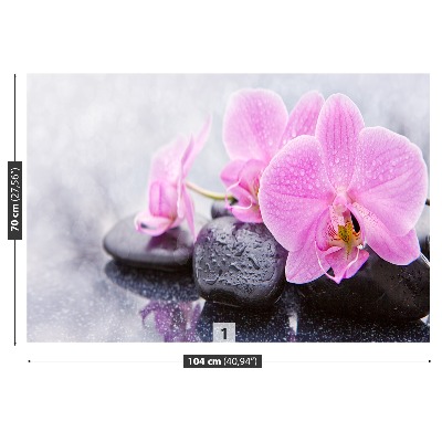 Fotomural Orquídea piedras