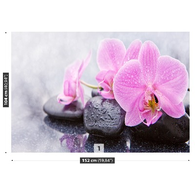 Fotomural Orquídea piedras