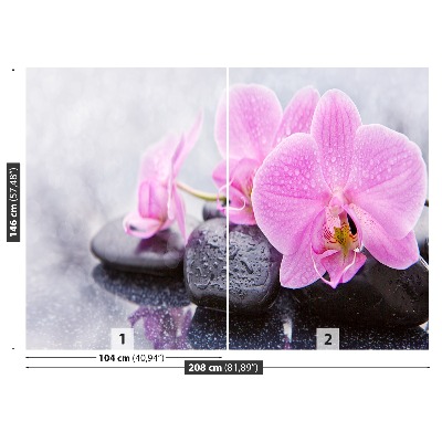 Fotomural Orquídea piedras