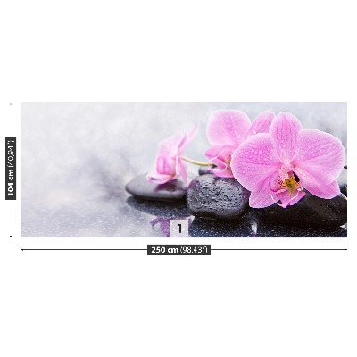 Fotomural Orquídea piedras