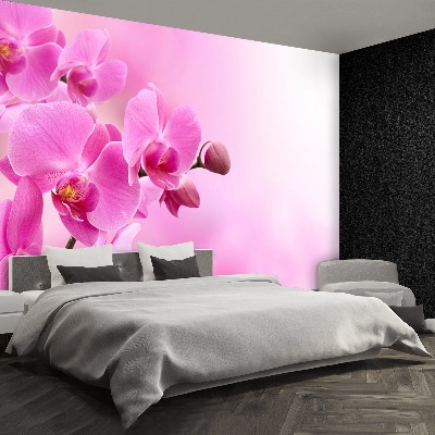 Fotomural Orquídea rosa