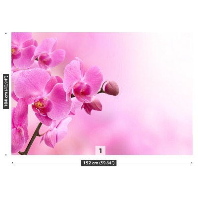 Fotomural Orquídea rosa