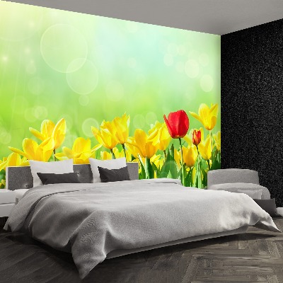 Fotomural Tulipanes amarillos