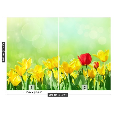 Fotomural Tulipanes amarillos