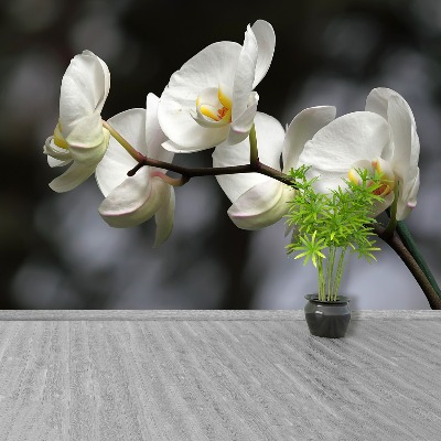 Fotomural Orquídea blanca