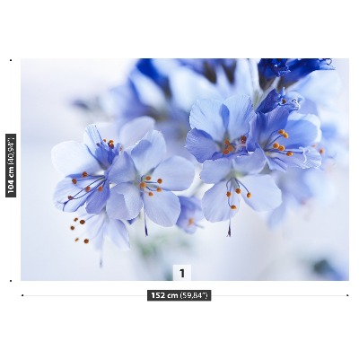 Fotomural Flores azules