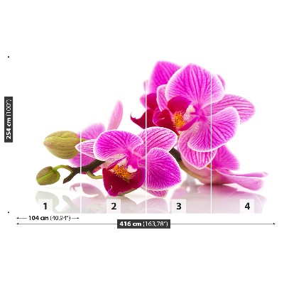 Fotomural Flores de la orquídea