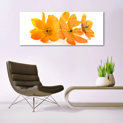 Cuadro de cristal acrílico Naranja planta flores