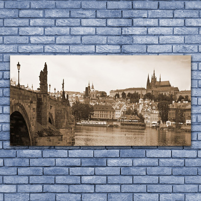 Cuadro de cristal acrílico Praga puente paisaje