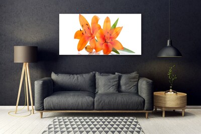 Cuadro de acrílico Naranja planta flores