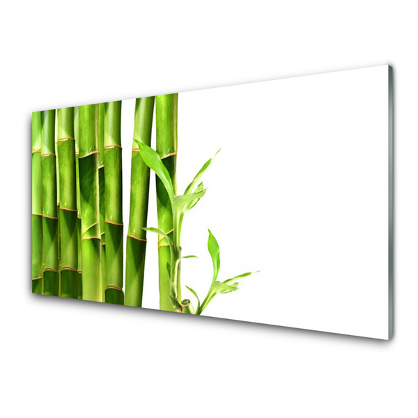 Cuadro de acrílico Bambú planta