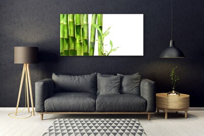 Cuadro de acrílico Bambú planta