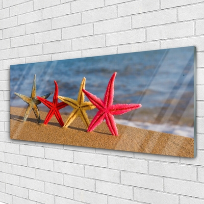 Cuadro de acrílico Playa estrella de mar arte