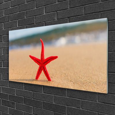 Cuadro de acrílico Playa estrella de mar arte