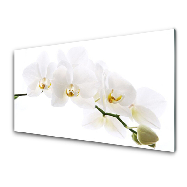 Cuadro de acrílico Flores orquídea