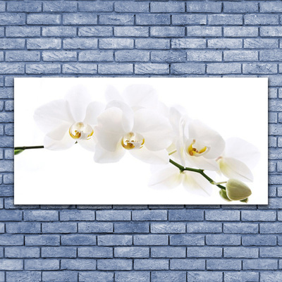 Cuadro de acrílico Flores orquídea