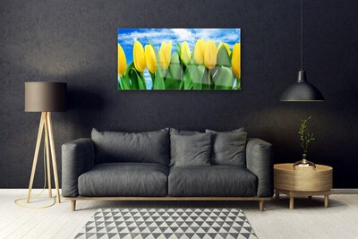 Cuadro de acrílico Tulipanes flores