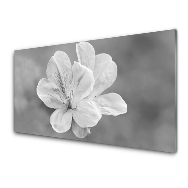 Cuadro de acrílico Flores planta