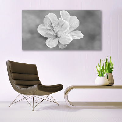 Cuadro de acrílico Flores planta